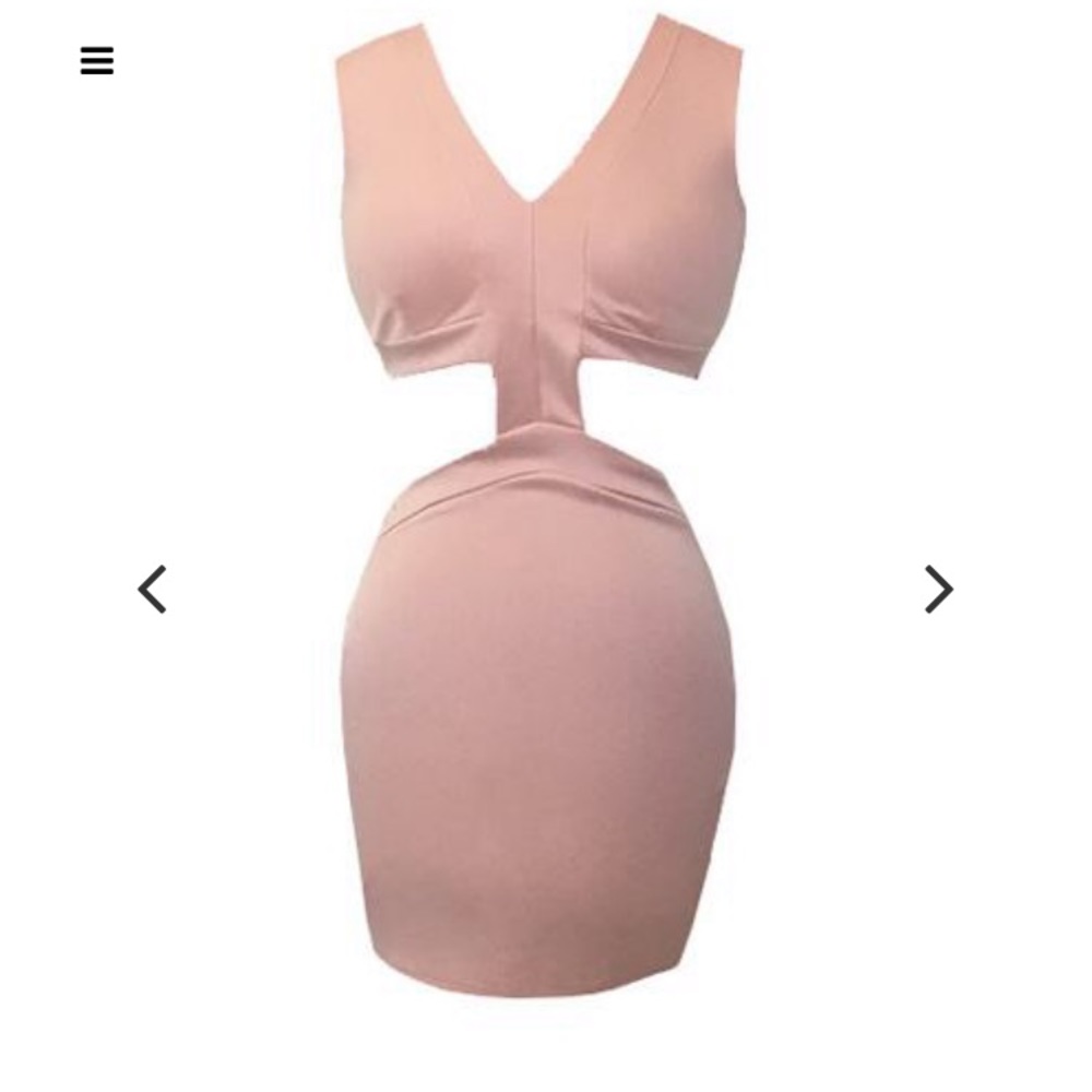 Posh Cult Dress